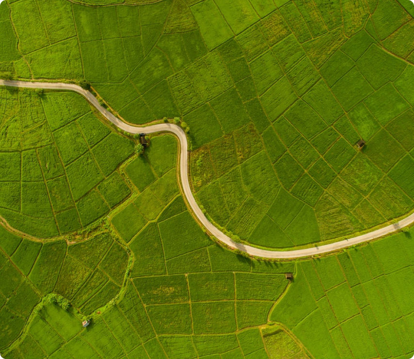 A green landscape with a road in the middle